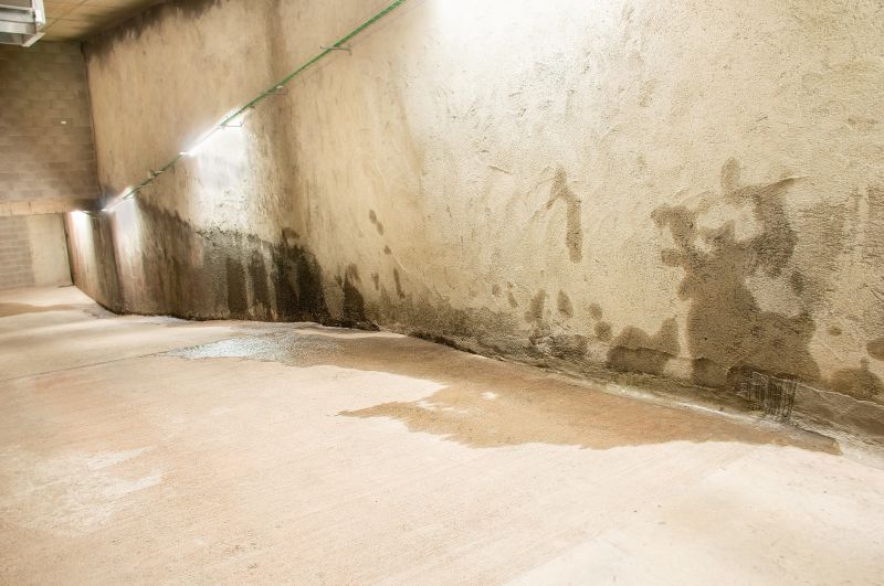 Basement Water Damage Service