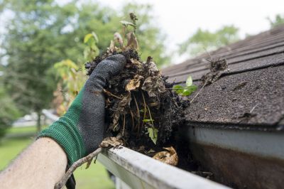 Gutter and Debris Removal