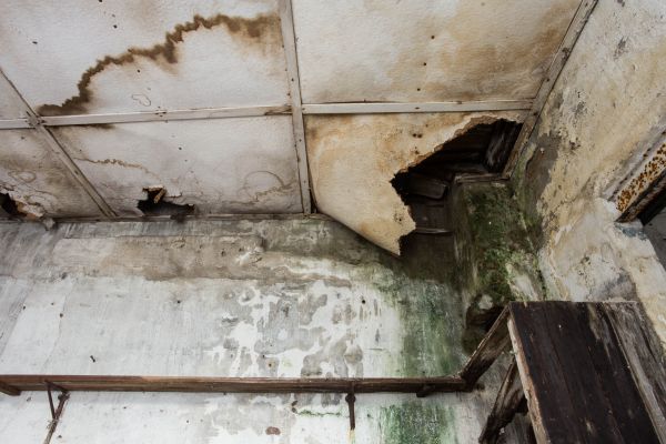 Cost of Water Damage Service in Boerne