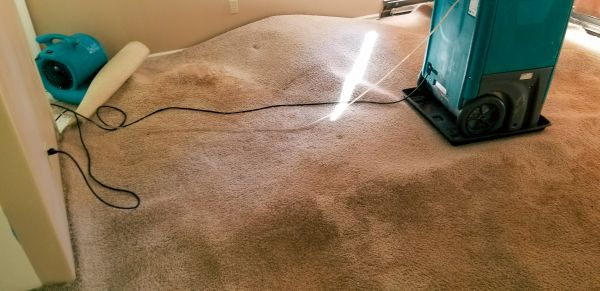 Flood Damage Cleanup in Boerne