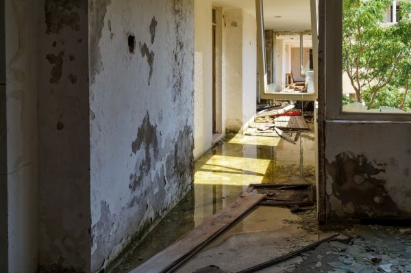 Cost of Water Removal Service in Boerne