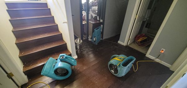 Cost of Water Damage Remediation in Boerne