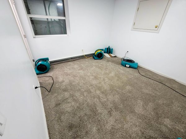 Flood Restoration Service in Boerne