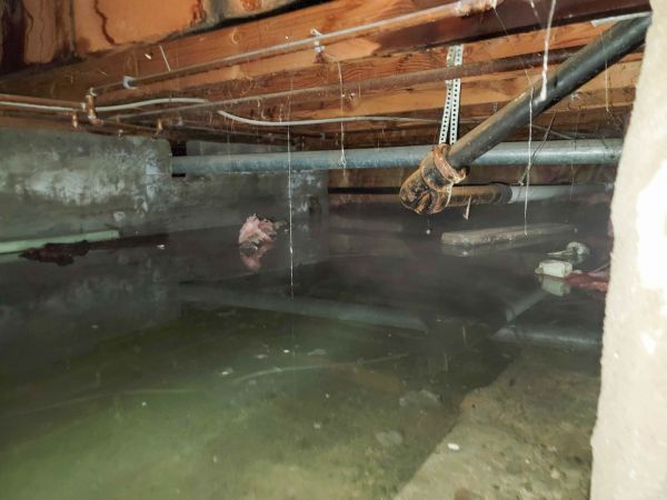 Cost of Crawl Space Drying in Boerne